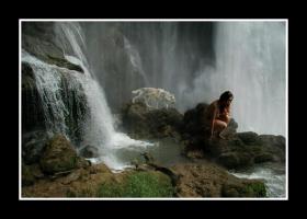 Contemplation Stock INFO