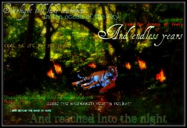 Hollow Dreams/The Tyger Stock INFO