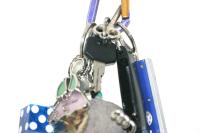 <img200*0:stuff/aj/169023/Keys.jpg>