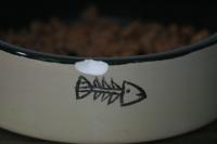 <img200*0:stuff/aj/169023/Kitty%20Food.jpg>
