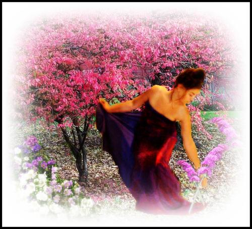 <img500*0:stuff/aj/169023/Les%20Fleurs.1.jpg>