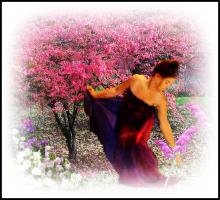 Les Fleurs Stock INFO