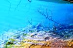 <img150*0:stuff/aj/169023/Pirate%20Waters.1.jpg>