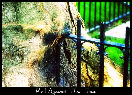 <img:stuff/aj/169023/Rail%20Against%20The%20Tree.jpg?y=400>