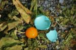 <img150*0:stuff/aj/169023/Robin%27s%20Egg.jpg>
