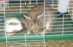 <img150*0:stuff/aj/169023/Rowe.jpg>