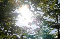 <img200*0:stuff/aj/169023/Sunshine.jpg>