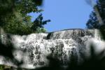 <img150*0:stuff/aj/169023/Through%20the%20Trees.jpg>