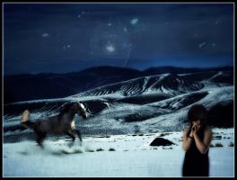  Cold Starry Night Stock INFO