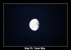 <img0*175:stuff/aj/169023/d11.jpg>