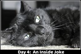 <img0*175:stuff/aj/169023/d4.jpg>