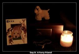 <img0*175:stuff/aj/169023/d9.jpg>
