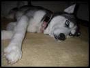 <img0*100:stuff/aj/169023/p.jpg>