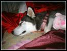 <img0*100:stuff/aj/169023/s.4.jpg>