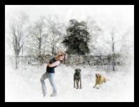 <img200*0:stuff/aj/169023/wonderland.jpg>