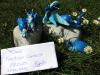 <img100*0:stuff/aj/178188/1241271345.jpg>