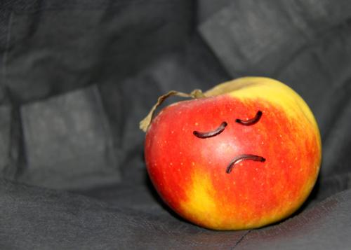 <img500*0:stuff/aj/178188/Emo%20Fruit.jpg>