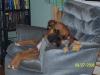 <img100*0:stuff/aj/179797/1247441657.jpg>