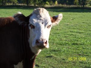 <img300*0:stuff/aj/179797/1250392080.jpg>