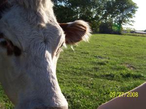 <img300*0:stuff/aj/179797/1250392339.jpg>