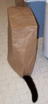 <img100*0:stuff/aj/179797/1250820366.jpg>
