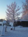 <img100*0:stuff/aj/179797/1251070456.jpg>