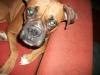 <img100*0:stuff/aj/179797/1260679879.jpg>