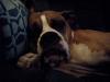 <img100*0:stuff/aj/179797/1260680089.jpg>