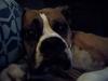 <img100*0:stuff/aj/179797/1260761893.jpg>