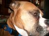 <img100*0:stuff/aj/179797/1260762072.jpg>