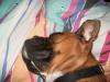 <img100*0:stuff/aj/179797/1261199376.jpg>