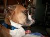 <img100*0:stuff/aj/179797/1261199452.jpg>