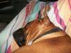 <img100*0:stuff/aj/179797/1261199527.jpg>