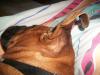 <img100*0:stuff/aj/179797/1261199612.jpg>