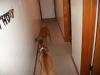<img100*0:stuff/aj/179797/1261199666.jpg>