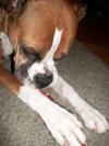 <img100*0:stuff/aj/179797/1261199755.jpg>