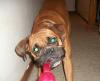 <img100*0:stuff/aj/179797/1261428449.jpg>