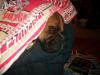 <img100*0:stuff/aj/179797/1261429485.jpg>