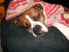 <img100*0:stuff/aj/179797/1261429572.jpg>