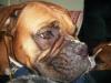 <img100*0:stuff/aj/179797/1261429647.jpg>