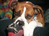 <img100*0:stuff/aj/179797/1261429834.jpg>
