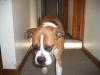 <img100*0:stuff/aj/179797/1261430322.jpg>