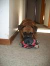 <img100*0:stuff/aj/179797/1261430401.jpg>