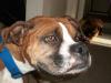 <img100*0:stuff/aj/179797/1261430979.jpg>