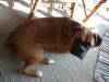 <img100*0:stuff/aj/179797/1261637468.jpg>
