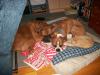 <img100*0:stuff/aj/179797/1262050791.jpg>