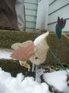<img100*0:stuff/aj/179797/1262051419.jpg>