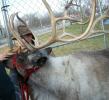 <img0*100:stuff/aj/179797/1262054976.jpg>