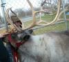 <img100*0:stuff/aj/179797/1262054976.jpg>