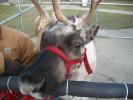 <img0*100:stuff/aj/179797/1262055198.jpg>
